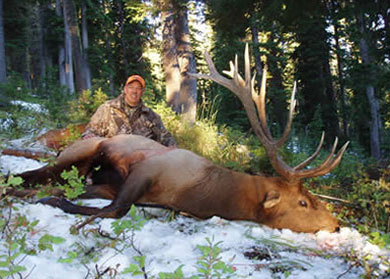 ELK Hunts