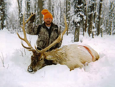 ELK HUNTS