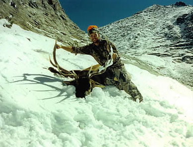 ELK HUNTS