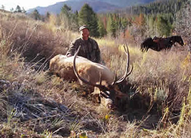 ELK HUNTS