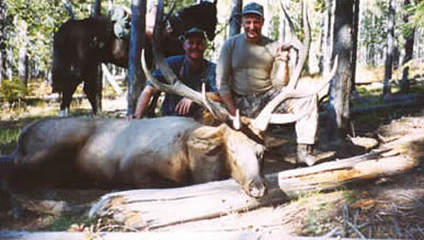 ELK HUNTS