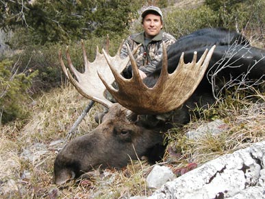 Moose Hunts