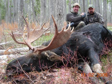 Moose Hunts