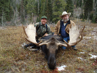 Moose Hunts