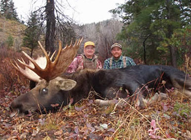 Moose Hunts