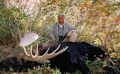 Moose Hunts