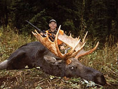 Moose Hunts