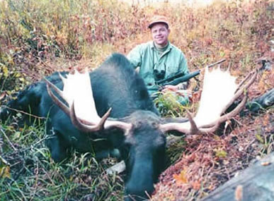 Moose Hunts