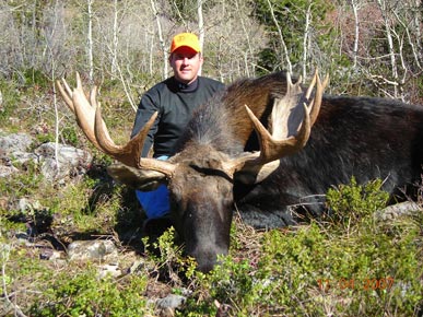 Moose Hunts