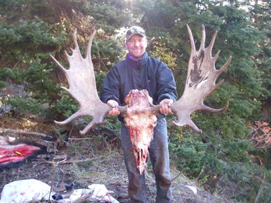 Moose Hunts