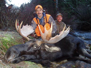 Moose Hunts