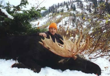 Moose Hunts