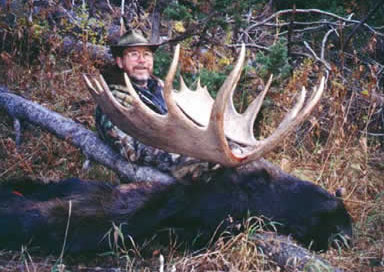 Moose Hunts