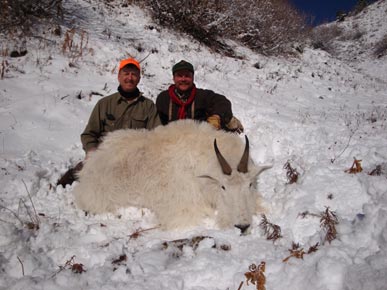 Mountain Goat Hunts