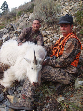 Mountain Goat Hunts