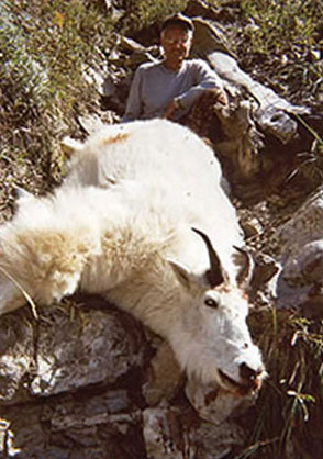 Mountain Goat Hunts