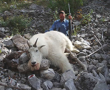 Mountain Goat Hunts