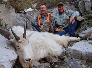 Mountain Goat Hunts